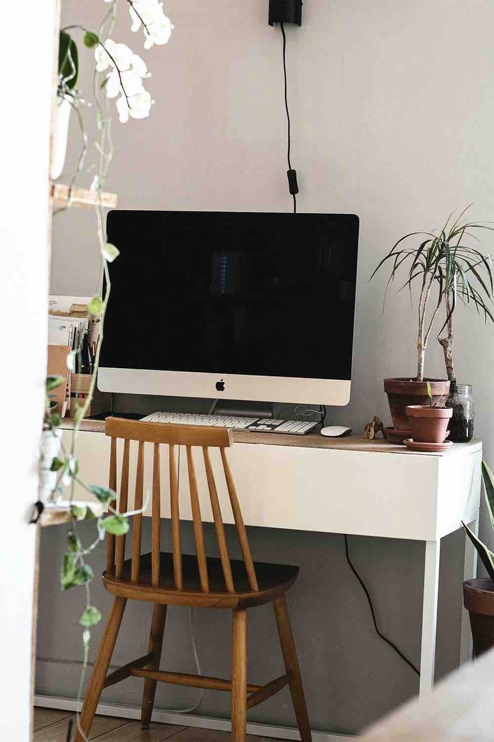 Image décorative représentant un ordinateur fixe posé sur un bureau, et plusieurs plantes d’intérieur.