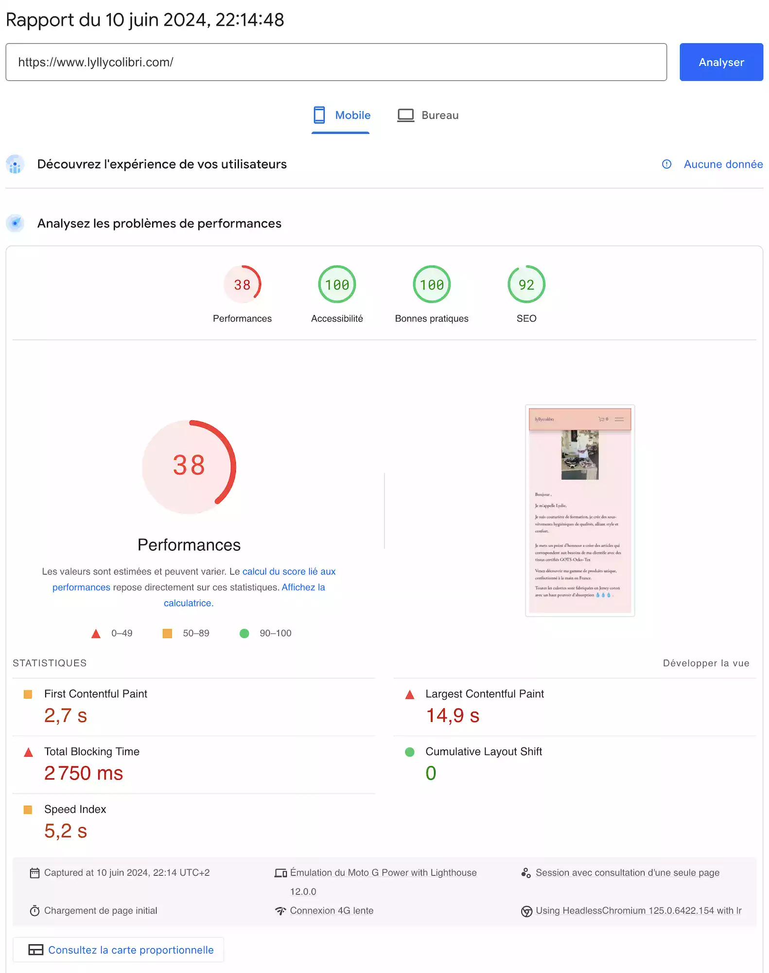 Première page du rapport de Google PageSpeed Insight.